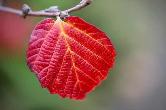 "Maladies gynécologiques : les bienfaits de la relaxation -