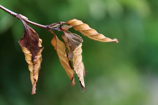 "Maladies gynécologiques : les conseils pour une vie équilibrée -