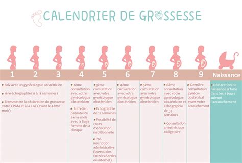 Guide De La Période De Grossesse Semaine Par Semaine