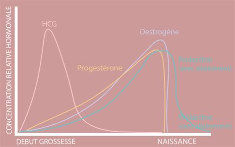 L'Impact Des Hormones Sur Le Corps Pendant La Période De Grossesse